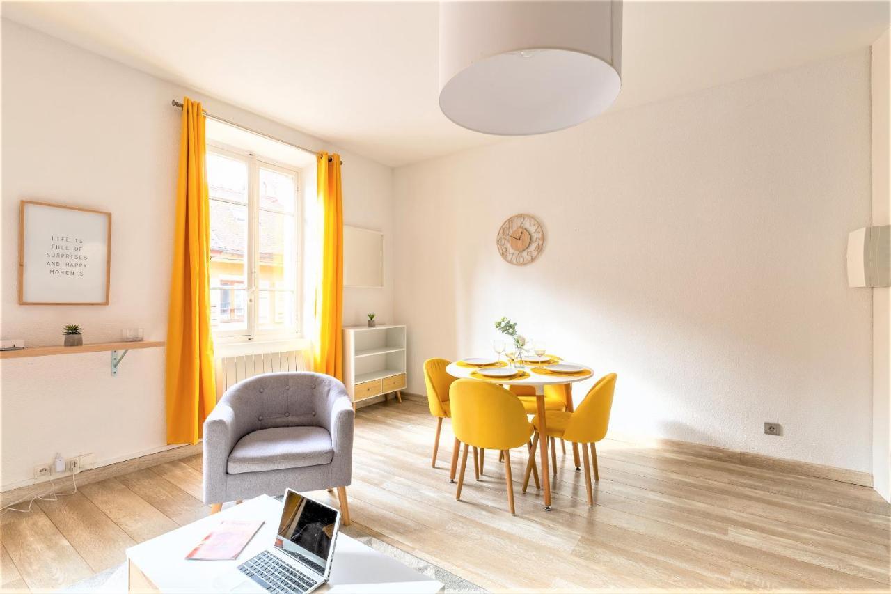 L'Escale Du Chateau A 500M Du Lac Rue Carnot 阿讷西 外观 照片